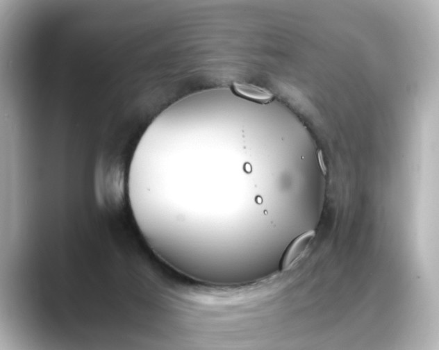 X0000089400021200706221125