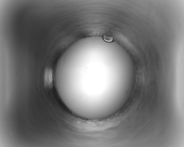 X0000089400022200706221125