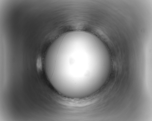 X0000089400026200706221125