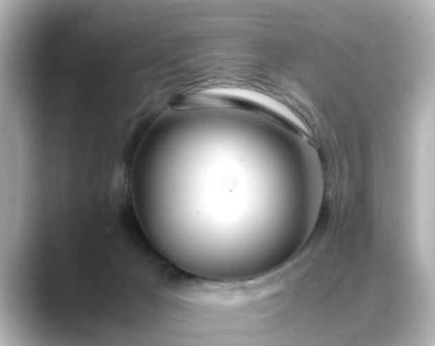 X0000089400029200706221125