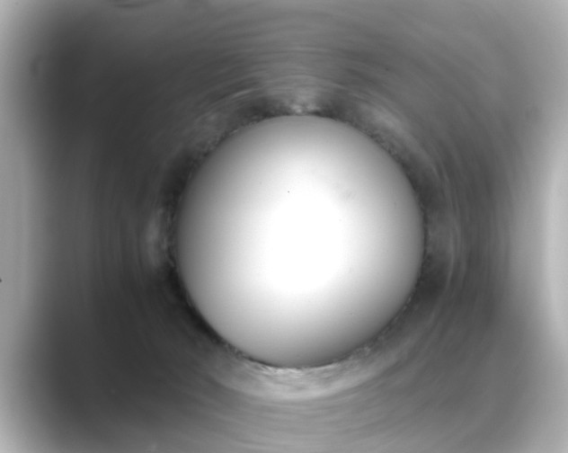 X0000089400030200706221125