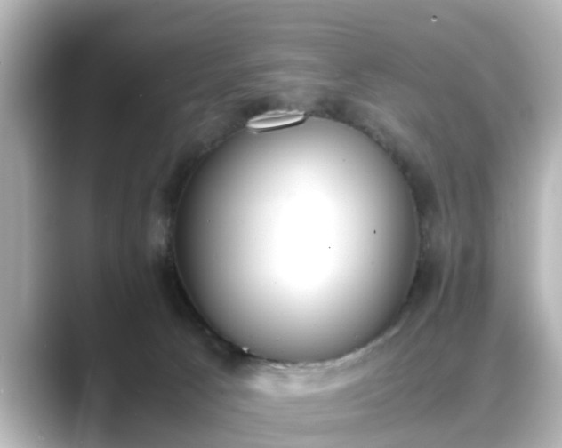 X0000089400033200706221125