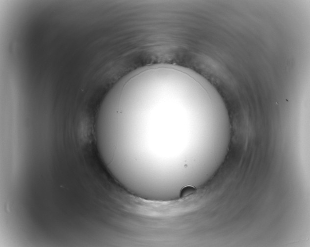 X0000089400034200706221125