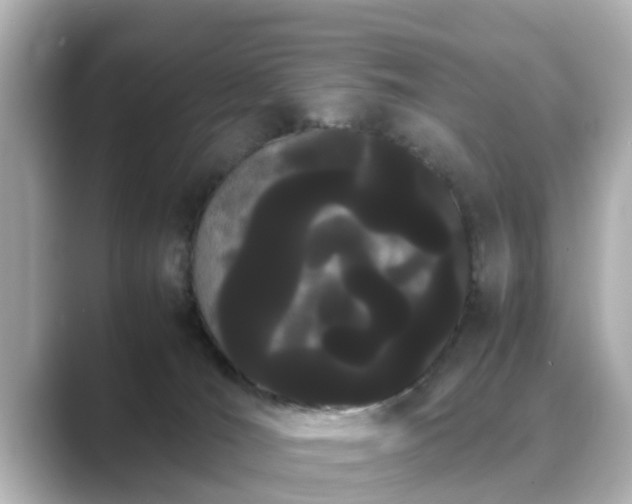 X0000089400036200706221125