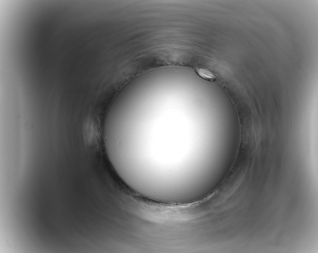 X0000089400040200706221125