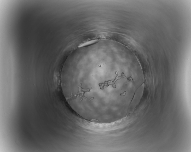 X0000089400043200706221125