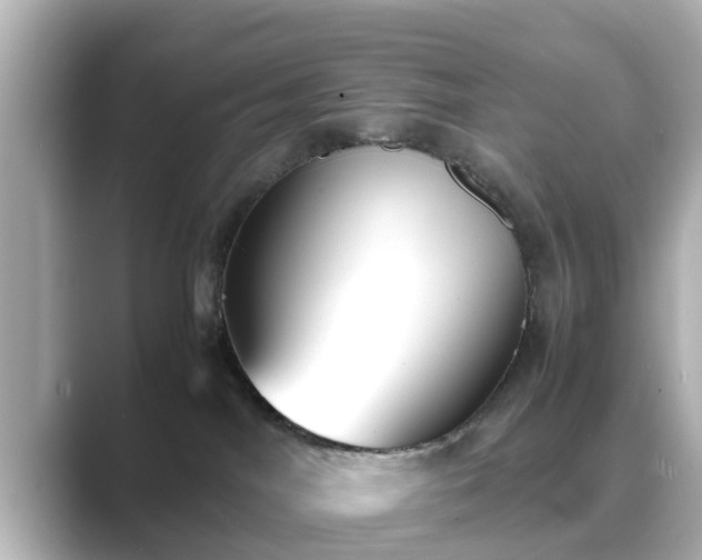 X0000089400044200706221125