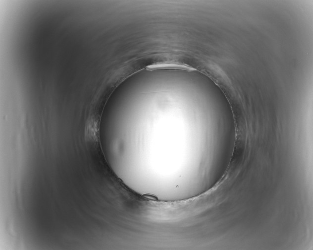 X0000089400045200706221125