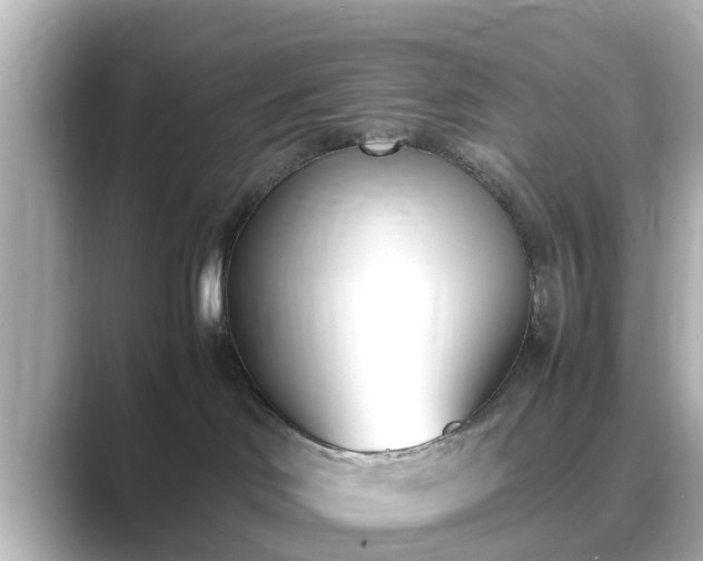 X0000089400046200706221125