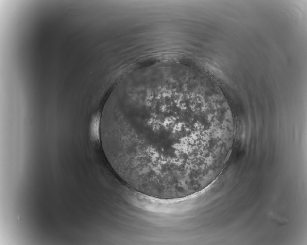 X0000089400047200706221125