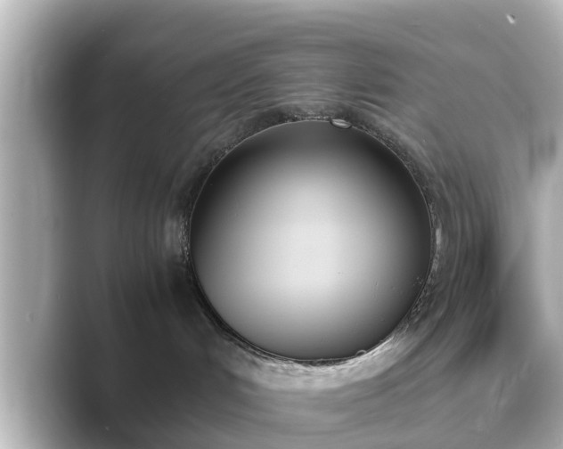 X0000089400048200706221125