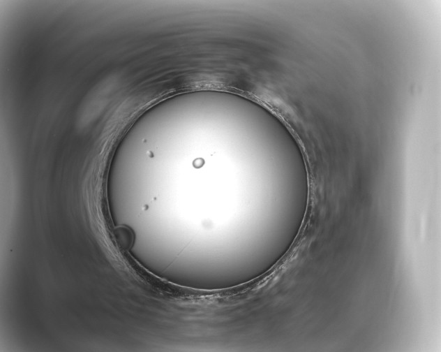 X0000089400049200706221124