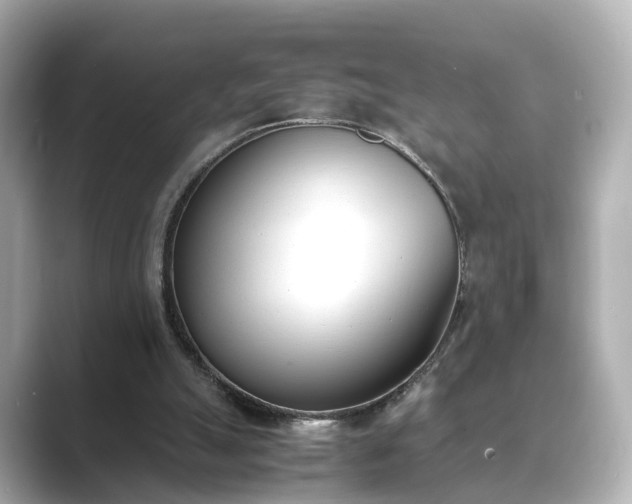 X0000089400055200706221125