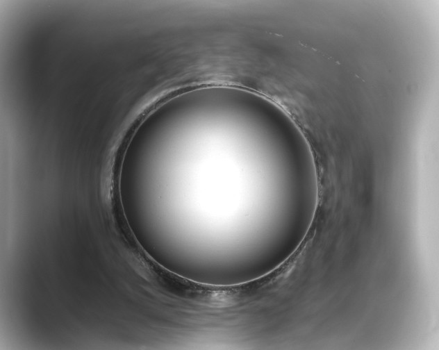 X0000089400056200706221125