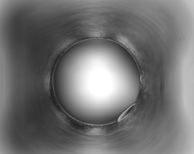 X0000089400058200706221125