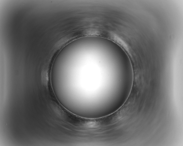 X0000089400059200706221125