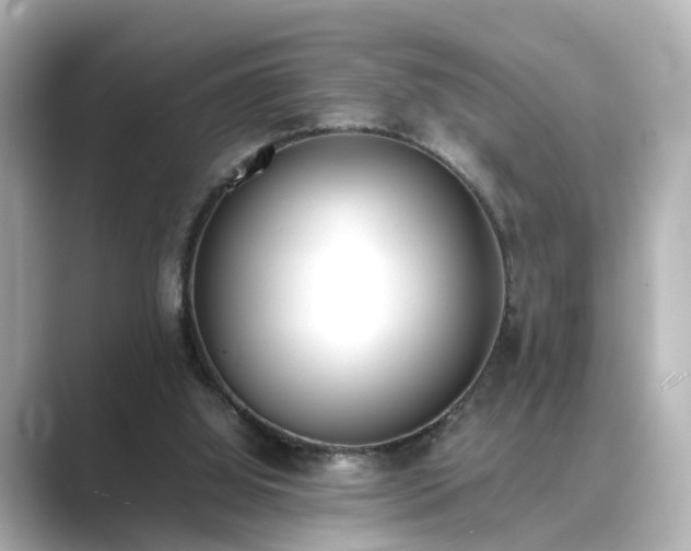 X0000089400060200706221125