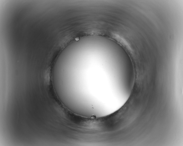 X0000089400065200706221125