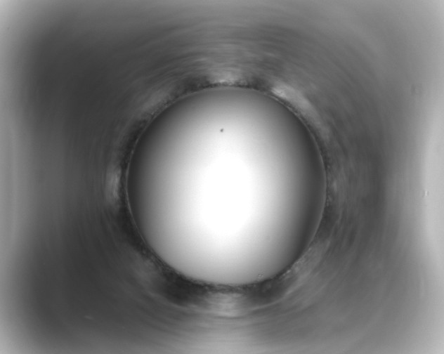 X0000089400066200706221125