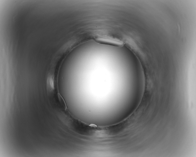 X0000089400068200706221125