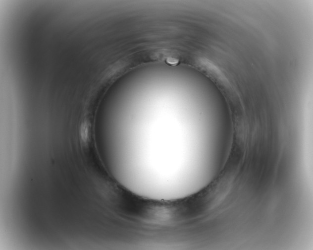 X0000089400071200706221125