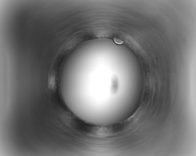 X0000089400074200706221125