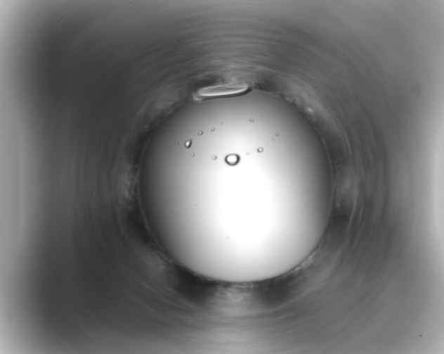 X0000089400078200706221125