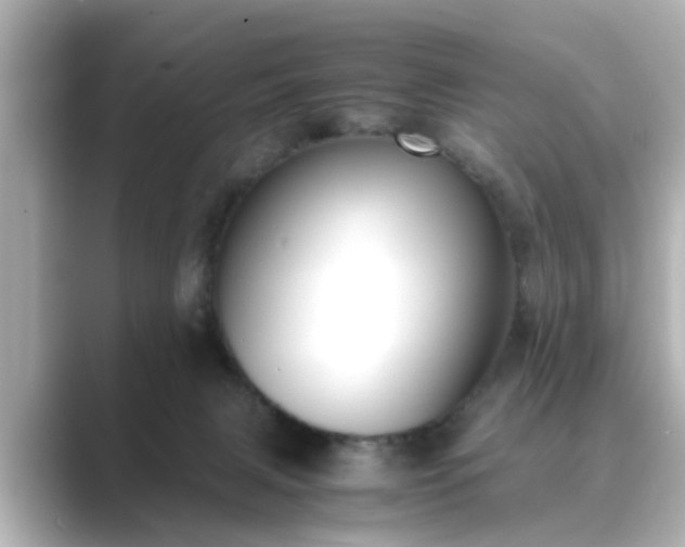 X0000089400079200706221125