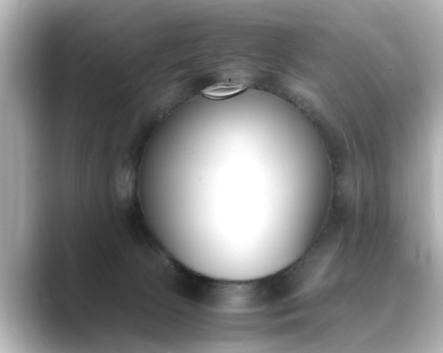 X0000089400081200706221125