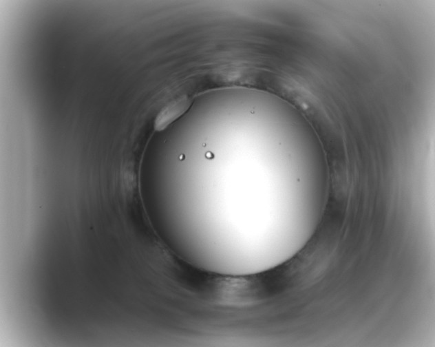 X0000089400085200706221125