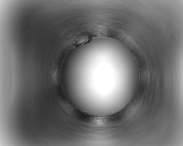 X0000089400088200706221125