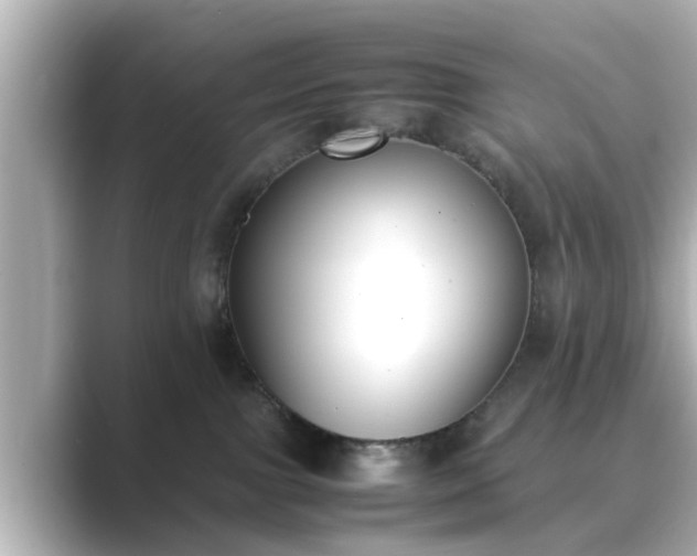 X0000089400091200706221125