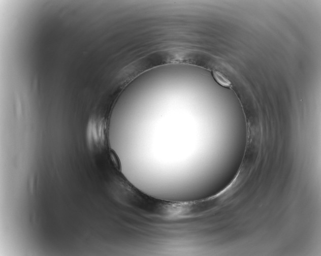 X0000089400094200706221125