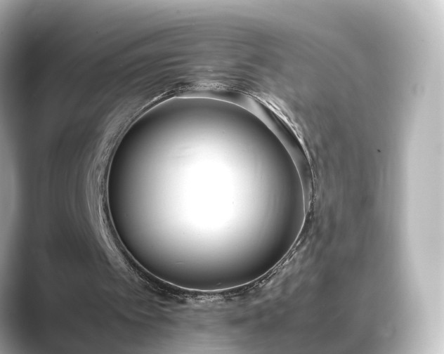 X0000089400097200706221124