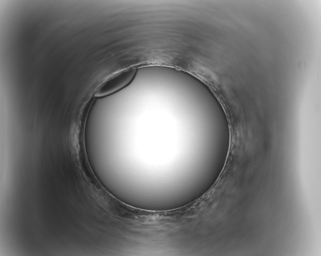 X0000089400098200706221124