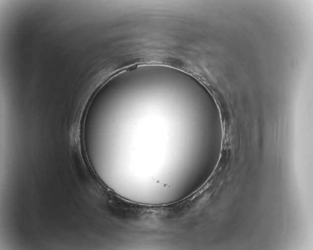 X0000089400099200706221124