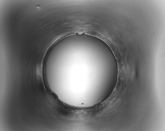 X0000089400100200706221124