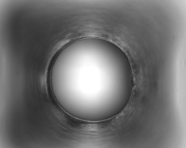 X0000089400104200706221124