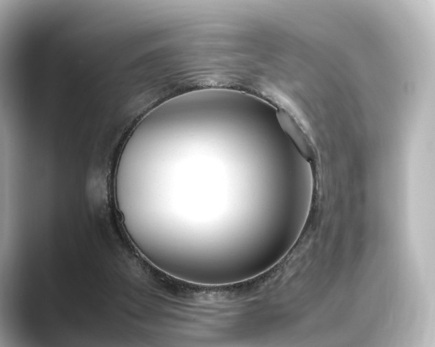 X0000089400105200706221124