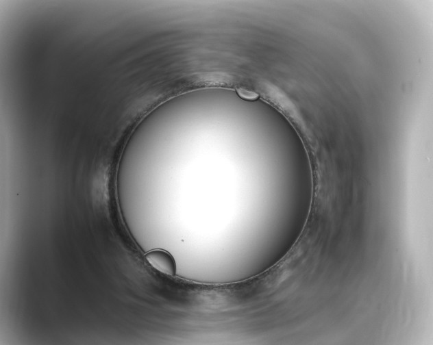 X0000089400106200706221124