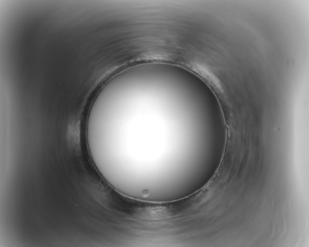 X0000089400108200706221124