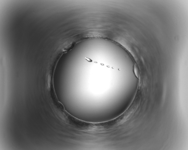 X0000089400109200706221124