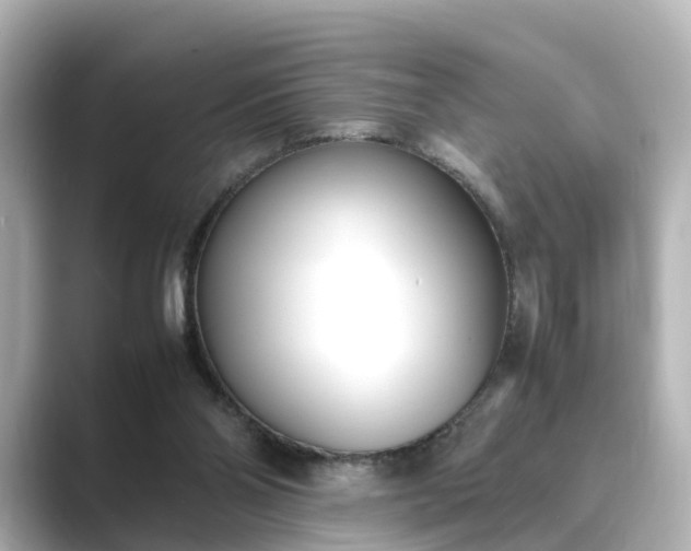 X0000089400110200706221124