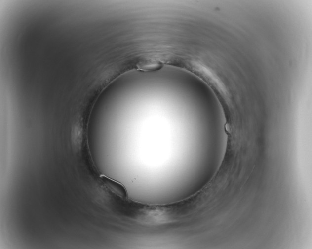 X0000089400113200706221124