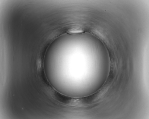 X0000089400117200706221124