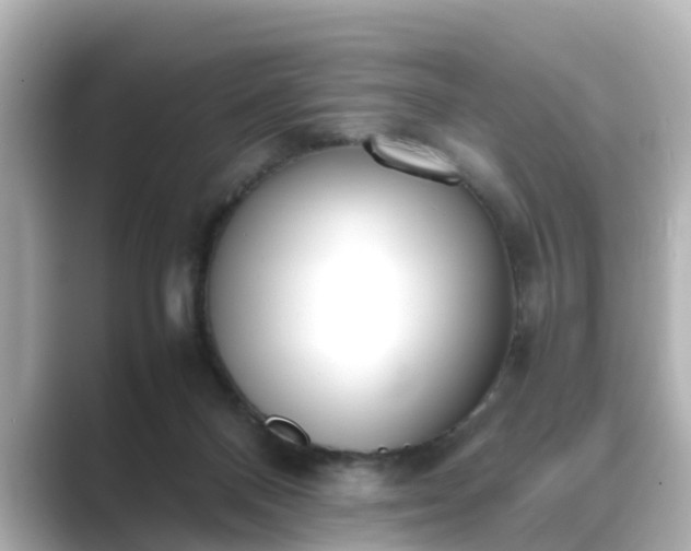 X0000089400120200706221124