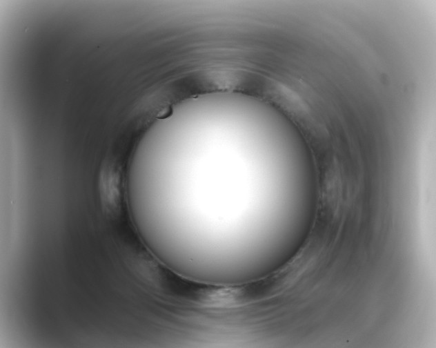 X0000089400122200706221124