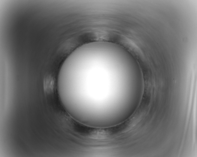 X0000089400123200706221124