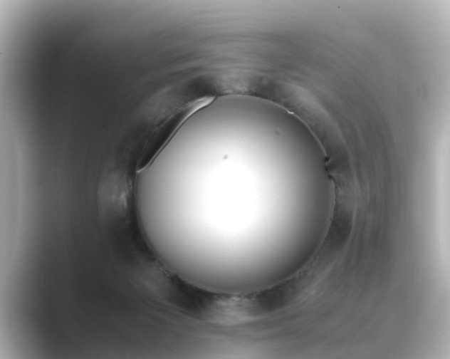 X0000089400125200706221124