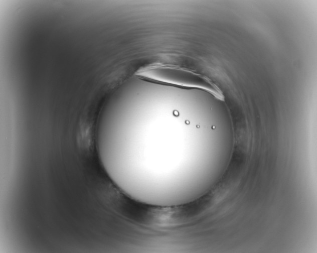 X0000089400131200706221124